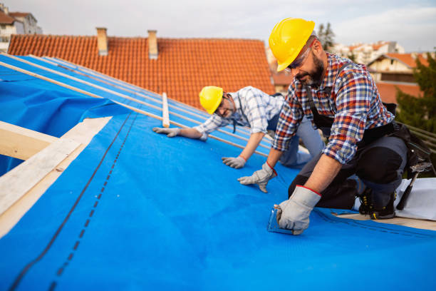 Best Roof Gutter Cleaning  in New Bremen, OH